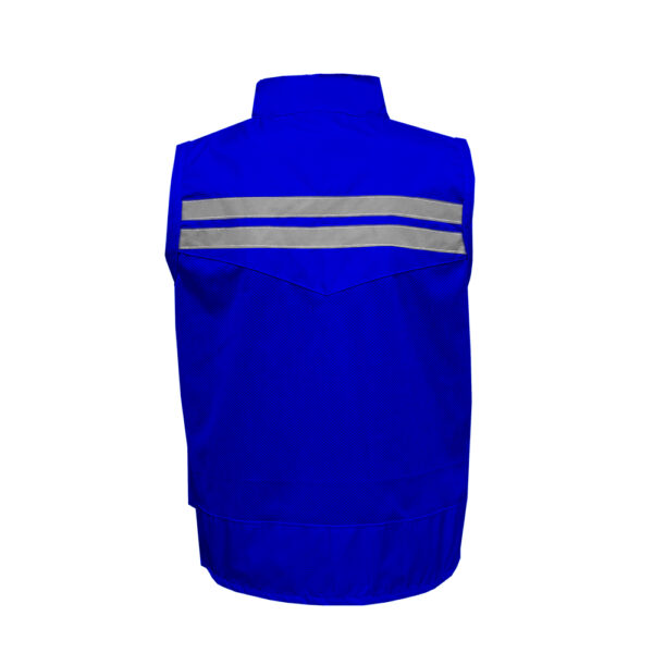 Modelo Azul Rey - Imagen 2