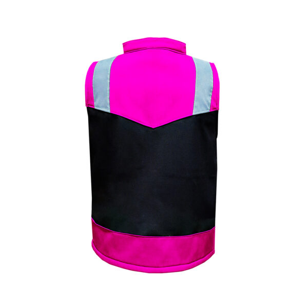 Modelo Rosa - Imagen 2