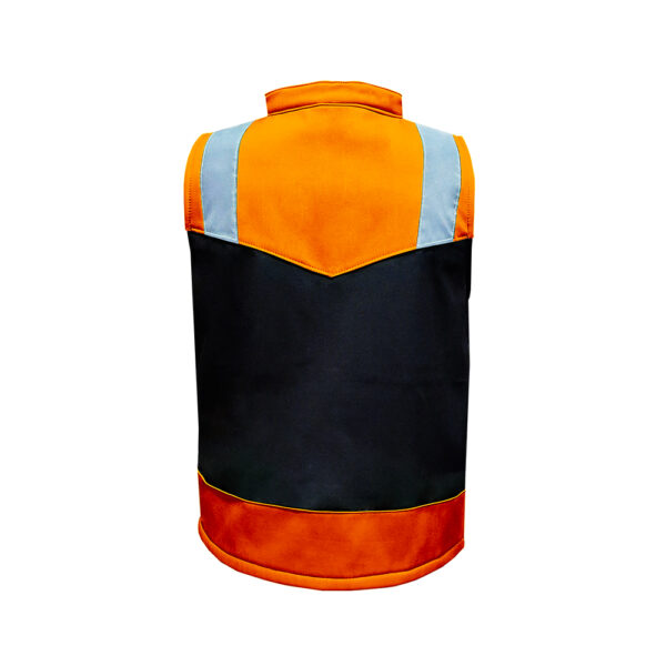 Modelo Naranja - Imagen 2
