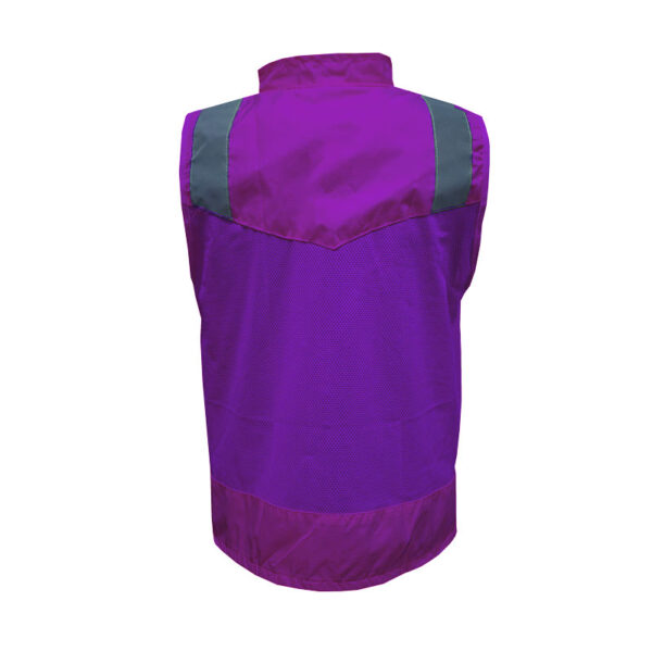 Modelo Morado - Imagen 2