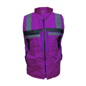 Modelo Morado
