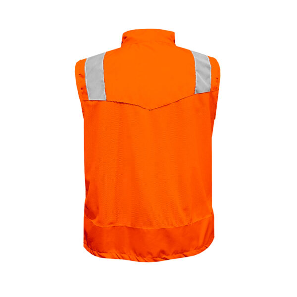 Modelo Naranja - Imagen 2