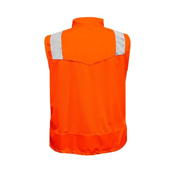 Modelo Naranja - Imagen 2